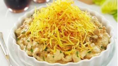 طرز تهیه چیکن استراگانف؛ از غذاهای محبوب روسیه