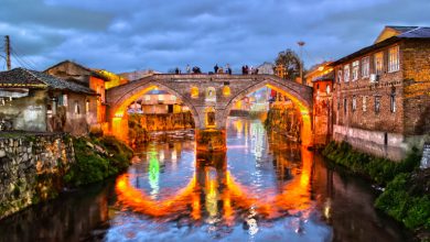 اکالا در لنگرود