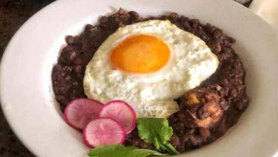 طرز تهیه مجی خورش