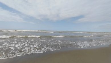 اکالا در نوشهر و تنکابن