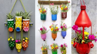 ایده ساختن گلدان دیواری با بطری پلاستیکی