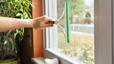 5 روش کاربردی تمیز کردن شیشه پنجره؛ برای خانه تکانی عید