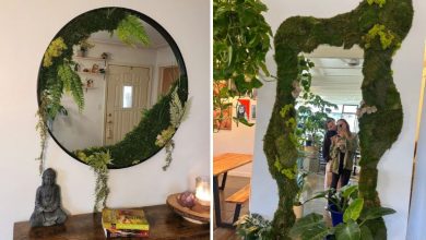 آموزش کاشت سبزه عید روی آینه؛ گام به گام