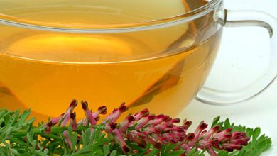 طرز تهیه دمنوش شاتره + بهترین زمان مصرف