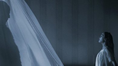 این فیلم لقب ترسناک‌ترین فیلم سال 2024 را گرفت