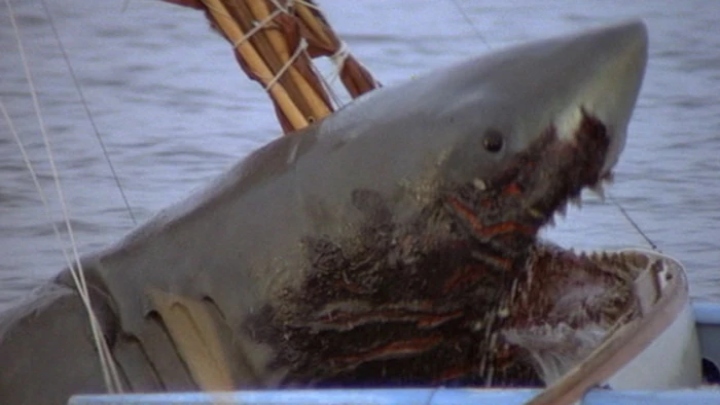 آرواره‌ها ۲ (Jaws 2)