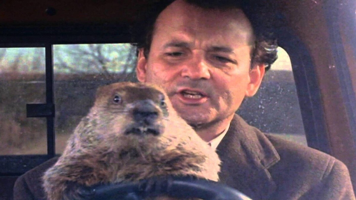 روز گراندهاگ (Groundhog Day)