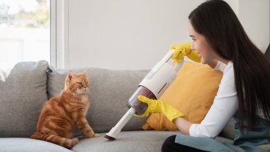 5 ترفند طلایی برای پاکسازی موی حیوانات خانگی از سطوح مختلف