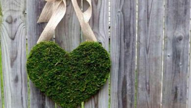 سبزه عید به شکل قلب برای عروس