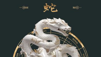 چه چیزی در سال 1404 در انتظار شماست؟ طالعبینی سال مار