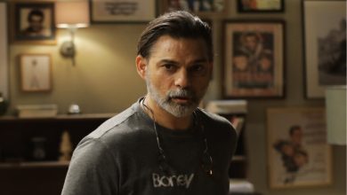 6 فیلم و سریال برتر پیمان معادی+ بیوگرافی