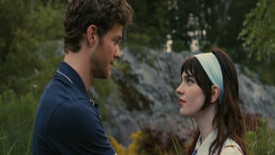 معرفی و بررسی فیلم همنشین (Companion)