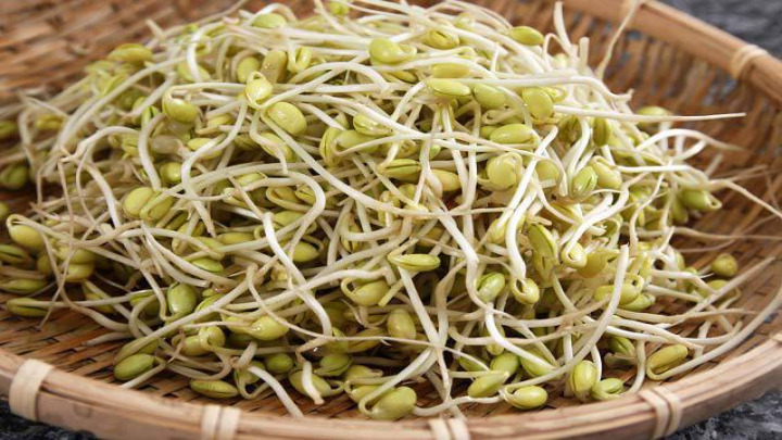 روش کاشتن سبزه یونجه برای عید