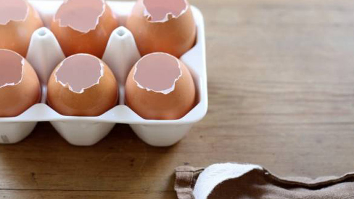 کاشت سبزه در پوست تخممرغ با پنبه کاشت سبزه در پوست تخممرغ با پنبه