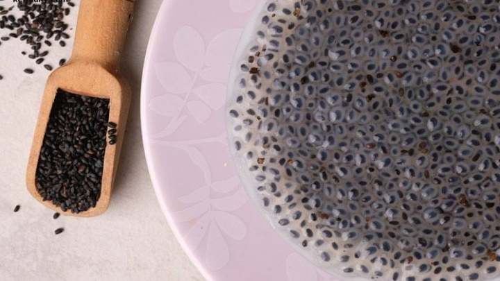 آموزش کاشت سبزه عید با تخم شربتی آموزش کاشت سبزه عید با تخم شربتی