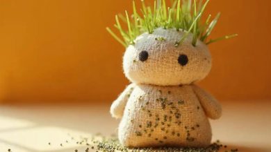 کاشت سبزه عروسکی برای عید (با جوراب، خاک اره و بطری نوشابه)