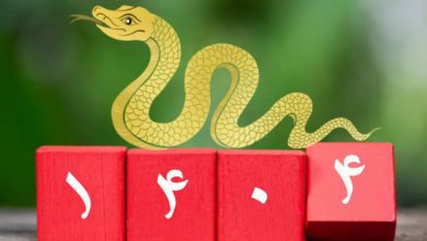 سال ۱۴۰۴ در یک نگاه؛ زمان تحویل، نماد حیوانی، رنگ سال و تاریخ عید فطر