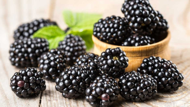 کالری توت سیاه (شاه توت) چقدر است؟