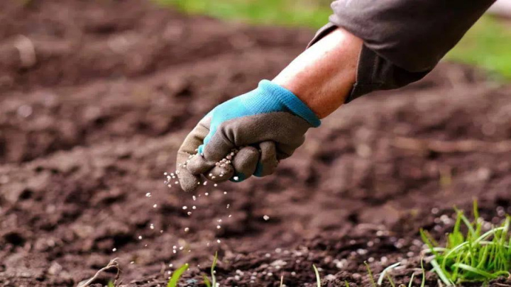 افزایش ماده آلی خاک از روش‌های جذب چند برابر آهن در گیاهان