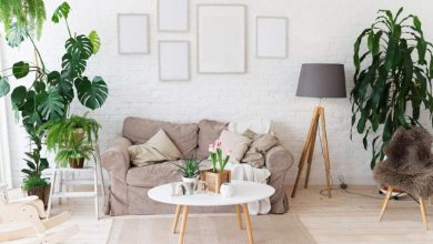 6 روش جذاب برای چیدمان گیاهان آپارتمانی در خانه