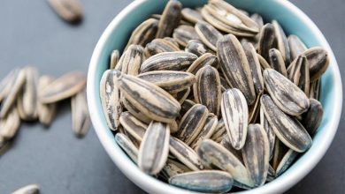 هر 100 گرم تخمه آفتابگردان چقدر کالری دارد؟