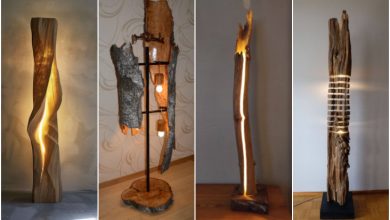 آباژور تنه درخت؛ نورپردازی طبیعی برای دکوراسیون منزل شما