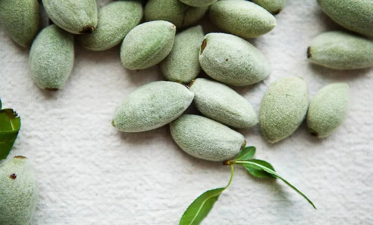 روش نگهداری از چغاله بادام