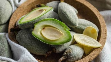 کالری چغاله بادام چقدر است؟