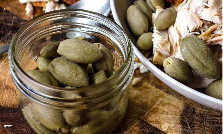طرز تهیه ترشی چغاله بادام+ نکات کپک نزدن