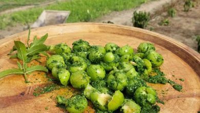 هلی کتنی (گوجه سبز کوبیده)