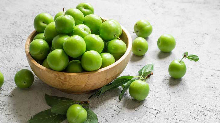 روش نگهداری از هسته گوجه سبز کاشته شده در گلدان