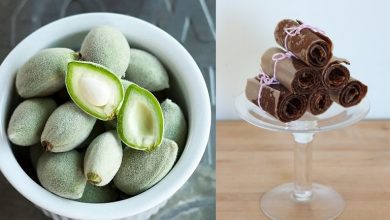 طرز تهیه لواشک چاقاله بادام+ روش‌های مختلف خشک کردن