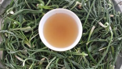 طرز تهیه ترشی شنگ