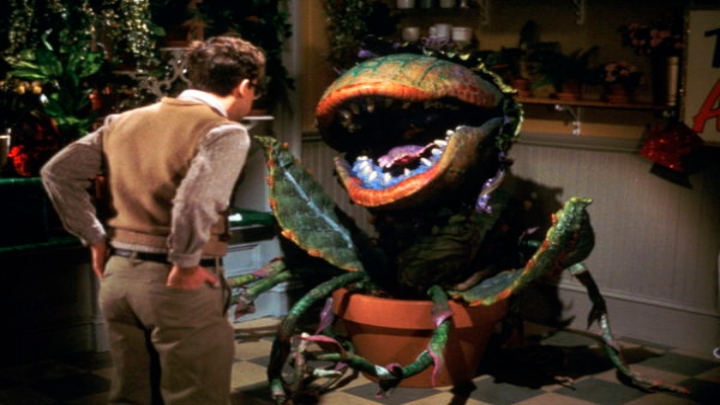 فروشگاه کوچک ترسناک (Little Shop of Horrors)؛ بهترین فیلم‌های ترسناک عاشقانه