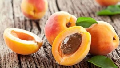 کالری زردآلو چقدر است؟