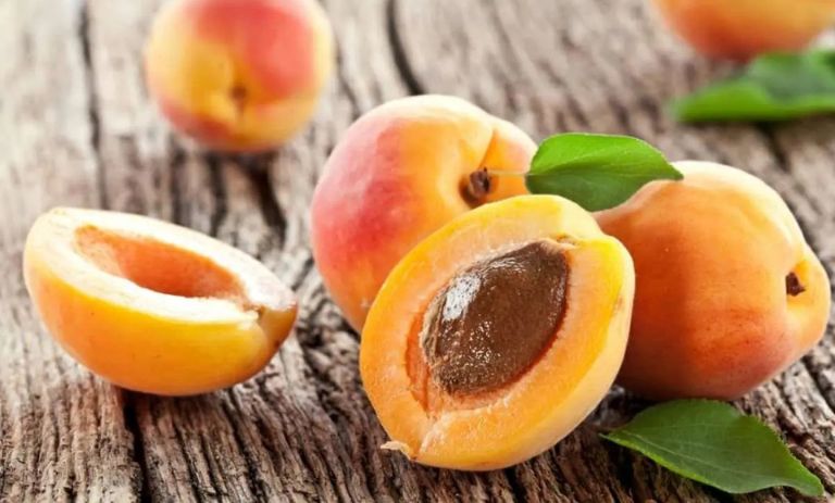 کالری زردآلو چقدر است؟