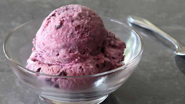 نکات و فوت‌وفن‌ های طرز تهیه بستنی توت سیاه