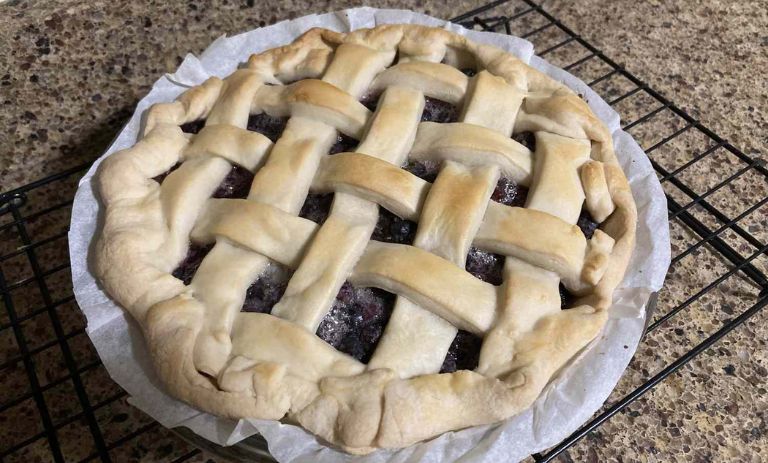 طرز تهیه پای توت سفید+ نکات و فوتوفن ها