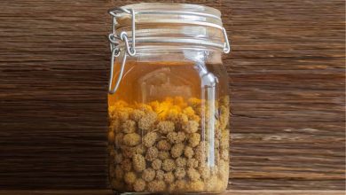 طرز تهیه سرکه توت سفید+ نکات کپک نزدن