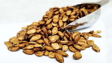 کالری تخمه هندوانه چقدر است؟