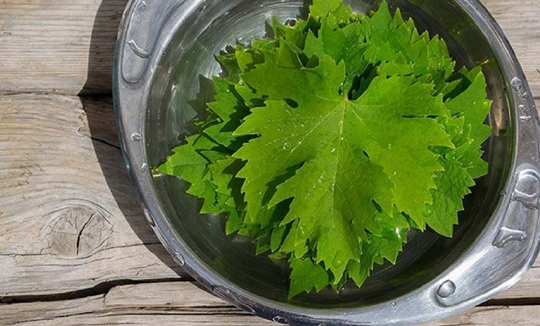 چگونه برگ مو را فریز کنیم