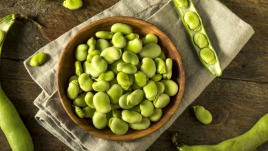 کالری باقلا سبز چقدر است؟