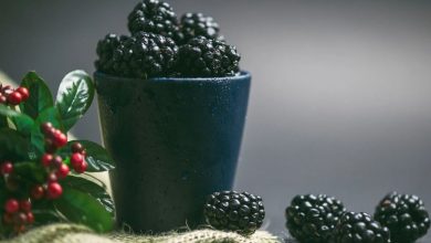 کالری شاتوت چقدر است؟