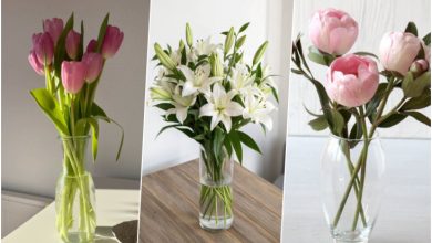 10 ترفند ساده برای ماندگاری بیشتر گل‌ها در گلدان