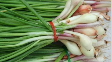 5 کاربرد جالب برگ موسیر در آشپزی سنتی و مدرن