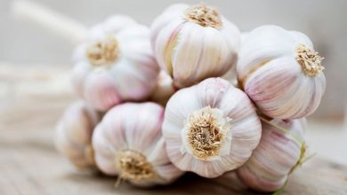 کالری سیر خام چقدر است؟