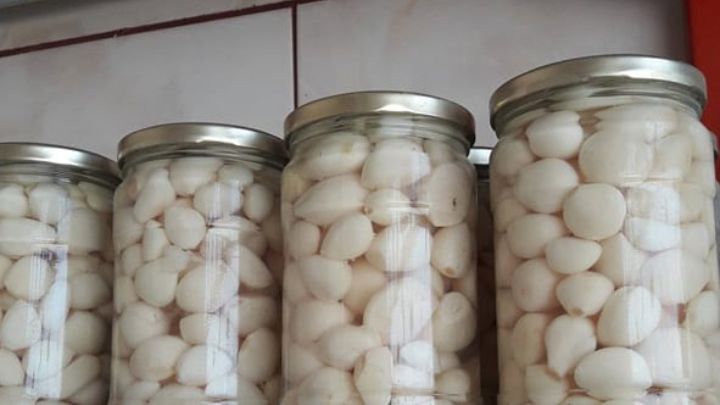 نکات کپک نزدن ترشی سیر صدفی