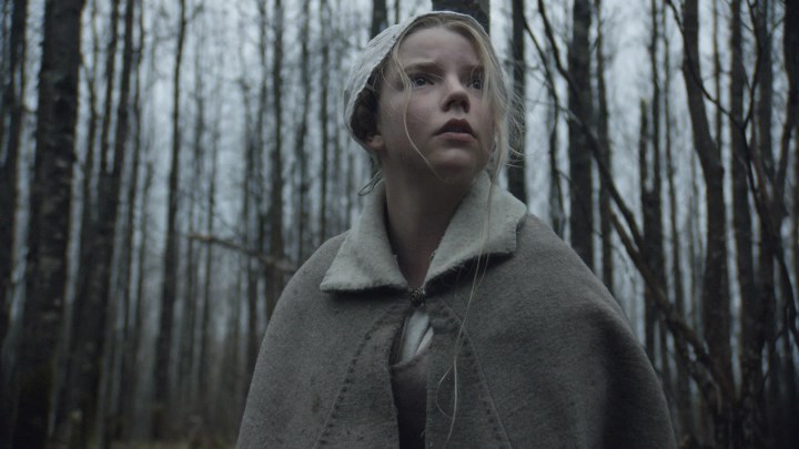 جادوگر (The Witch) یکی از بهترین فیلم‌های ترسناک با شخصیت‌ اصلی زن