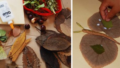 با برگ های خشک شده گیاهان چه کنیم