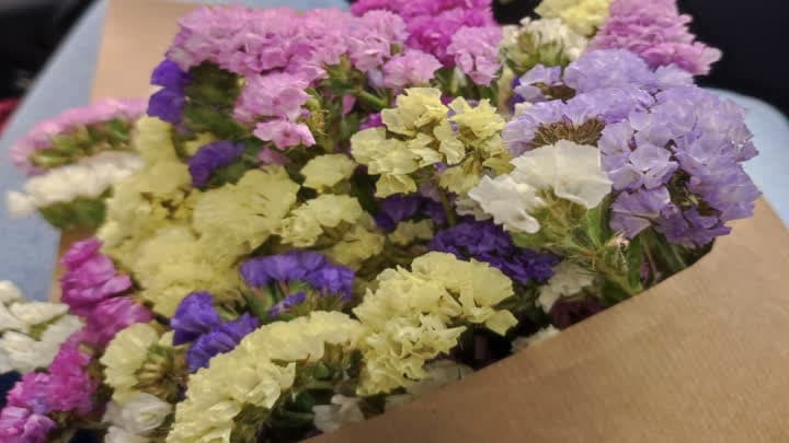 گل استر (Aster)